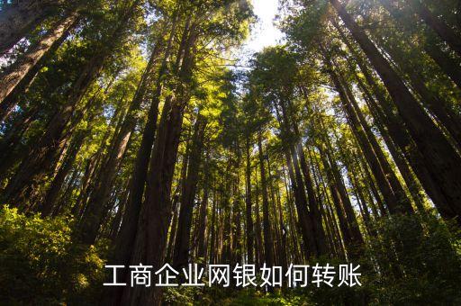  工商企業(yè)網銀如何轉賬