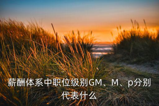 薪酬體系中職位級(jí)別GM、M、p分別代表什么